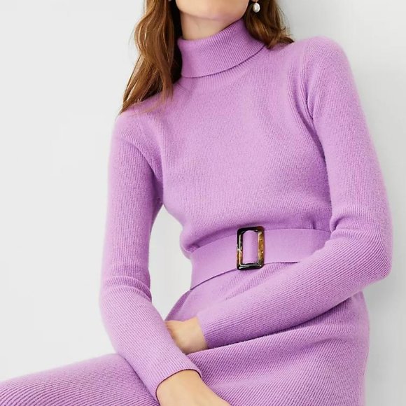 NWT Ann Taylor Belted Turtleneck Sweater Dress - Picture 3 of 3